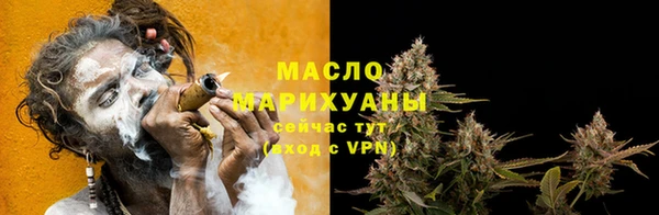 индика Магас