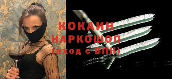 индика Магас