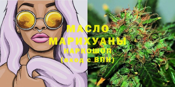 индика Магас