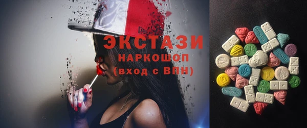 индика Магас