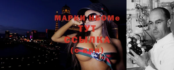 индика Магас