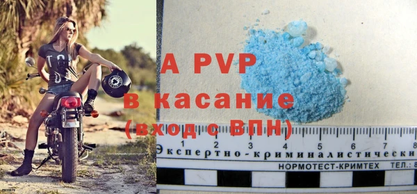 индика Магас