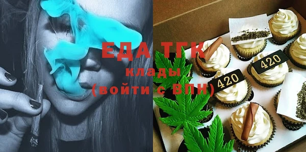 индика Магас
