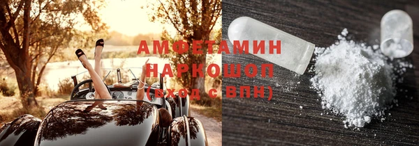 индика Магас