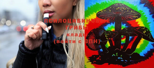 индика Магас