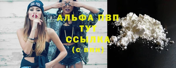 молекула духа Магадан