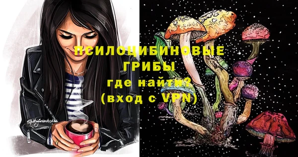 индика Магас
