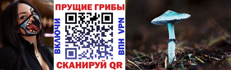 Псилоцибиновые грибы MAGIC MUSHROOMS  Таганрог 